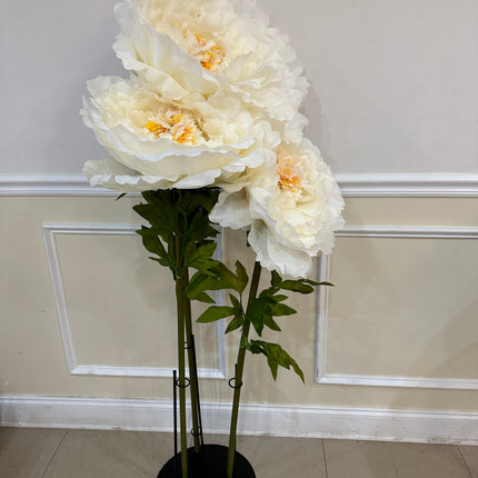 Giant White Peony Set- Rental