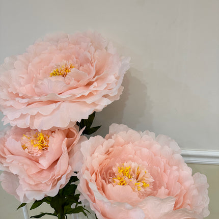 Giant Light Pink Peony Set- Rental