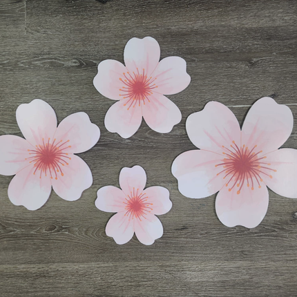 Foam Cutouts